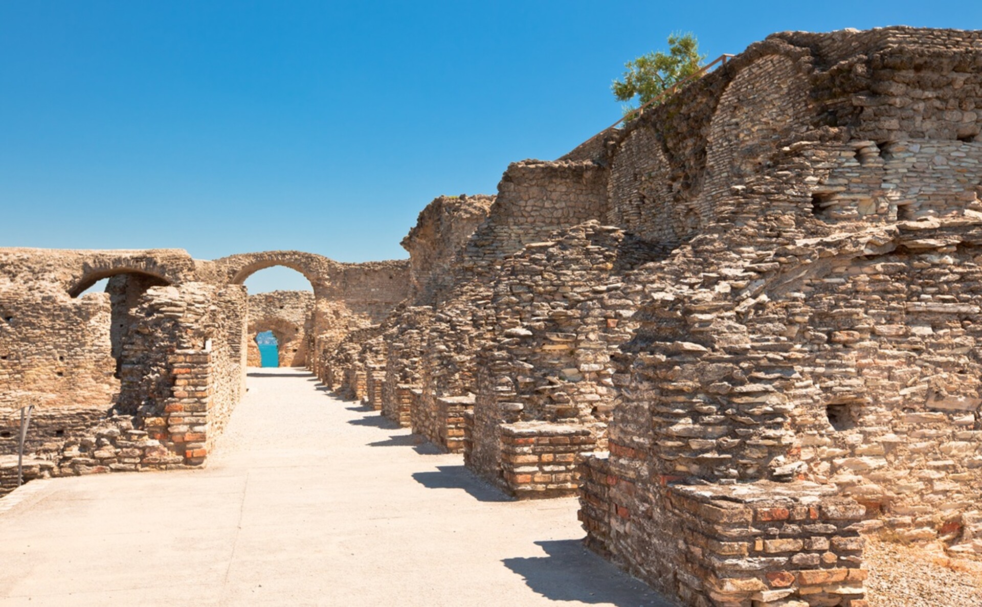 Catullus